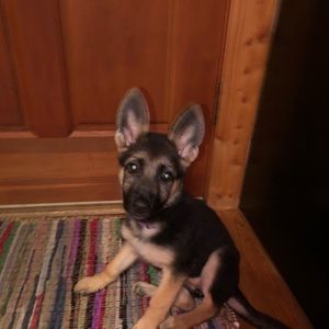 Meet your Posher, Julie